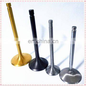Factory Manufacturer Racing Car Parts Engine Valve For Bmww Alpina X5 E53 4.8is N62 F30 N55 335i E90