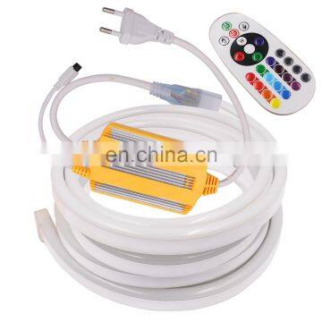 Outdoor Waterproof 110V  220V RGB LED Flex Neon Rope Tape Stripe Lighting