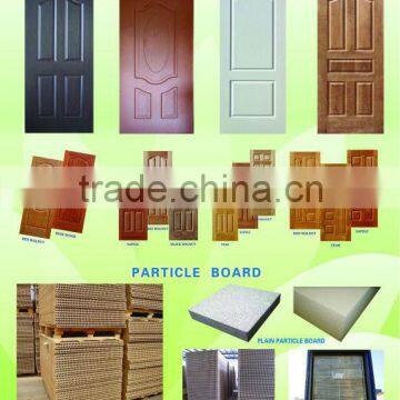 Veneer door skin in doors