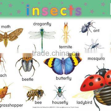 Mini Wall Chart - FA0206E Insects