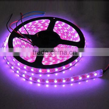 5050 LED Strip light