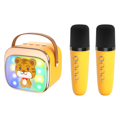 Potable Mini Family Kids Karaoke Spraker Bluetooth Speakers With Handle Two Microphones Micro Hifi System P12