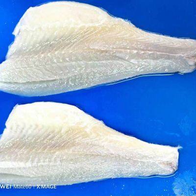 Sea Bass Fillet photo-2