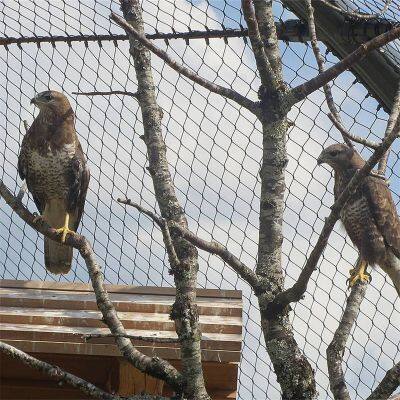 Flexible Stainless Steel Rope Mesh for Zoo and Aviary Protection