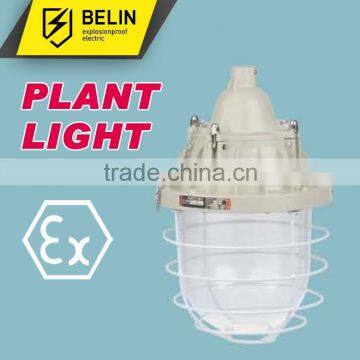 BAD51-400 Flameproof Explosion proof Light