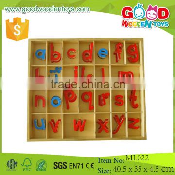 Montessori Language Materials Wooden Educational Small Movable Alphabet, Wood Toy