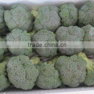 bubble box of broccoli
