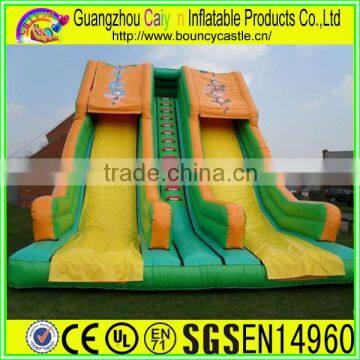2 Lane Inflatable Plastic Dry Slide For Amusement photo-2
