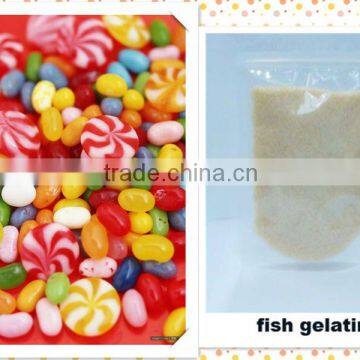 fish gelatin