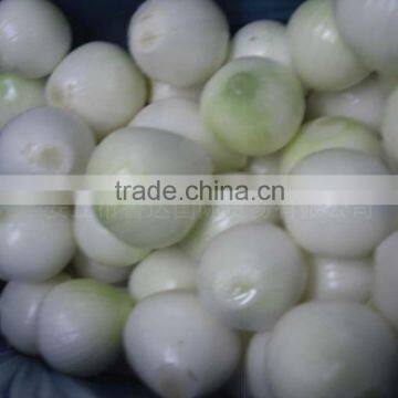 Yellow Onion Big Size photo-2