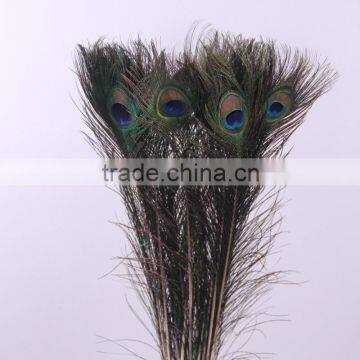 2016 New Home Decoration Garden Decoration Natural peacock feathers