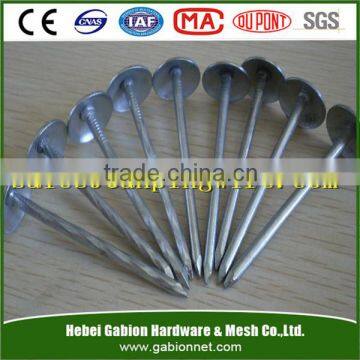 roofing nails with rubber washer with low price and best quality