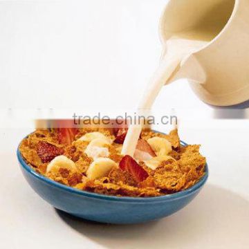 Hot-sale Corn Flakes & Breakfast Cereal Making Machine