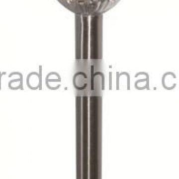 solar s/s garden LED stake lamp SO2550R