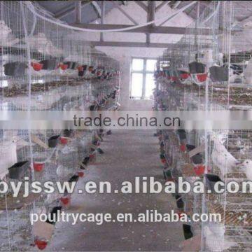 High Quality Breeding Pigeon Wire Mesh Cage