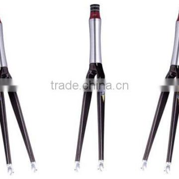 Bicycle Track Front Fork