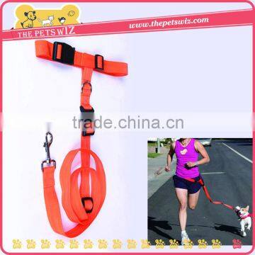 Pets running traction belt