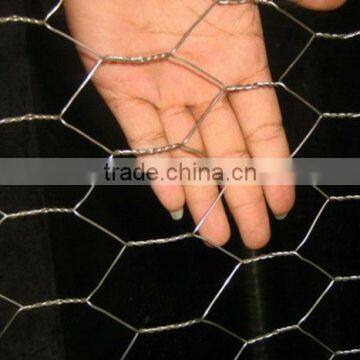 Electro Galvanized Hexagonal Wire mesh