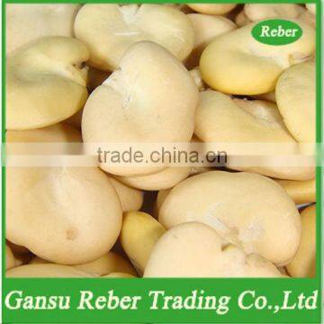 Peeled Broad Beans