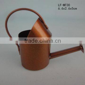 water kettle of mini garden iron