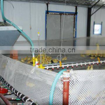 Automatic cheap Poultry farming equipment for duck