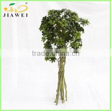 decorative artificial pittosporum plant trees wooden trunk house