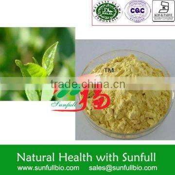 Green Tea Extract 25% ~ 90% Catechins/ 10% ~ 60% EGCG/ 40% ~ 98% Polyphenols