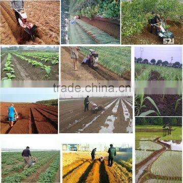 Design 186f Mini Cultivator Hiller in Luke Better Quality Small Farm Factory