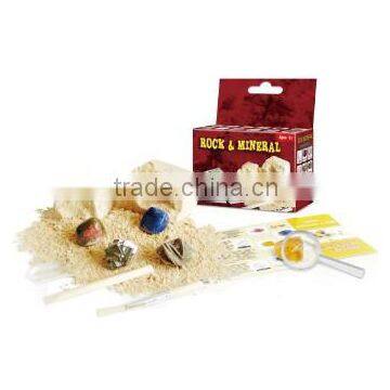 Rock and mineral dig kit