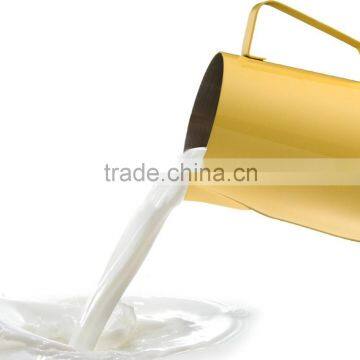 600ml Stainless Steel Garland Cup Garland Cylinder Milk Cup Vacuum Cup Japanese Milk Pitcher