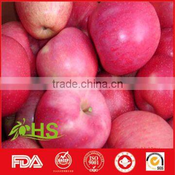 Chinese 2016 new crop fresh fuji apple with best price