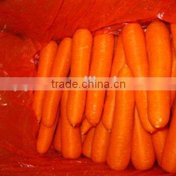China Fresh Carrot