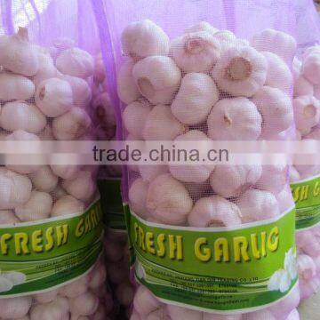 Chinese jinxiang pure normal white fresh garlic