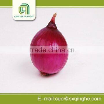 Onion China exporter