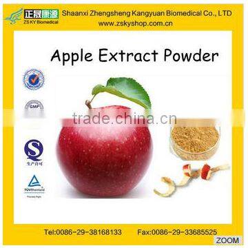 GMP supply high quality Apple extract Powder