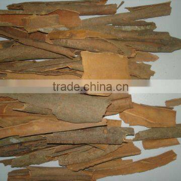 Broken cassia