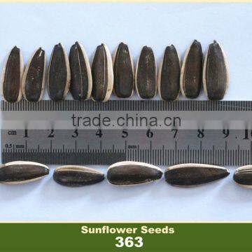 sunflower seeds 363 for human consumption