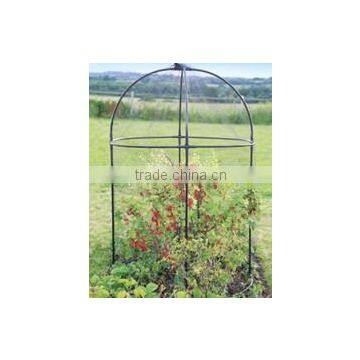 Round Fruit Cage With Netting