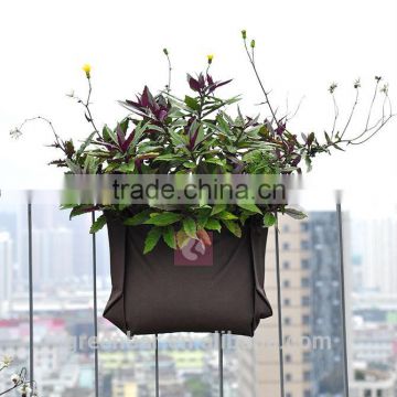 Supply single pocket living wall planter wall plant bag