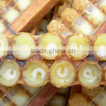 high quality royal jelly with best price, fresh and natural royal jelly powder