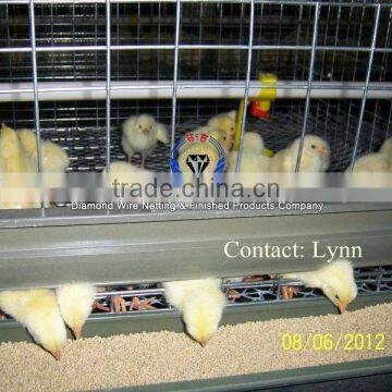 Hot-dipped Galvanized Anti-rust Poultry Farm Baby Chicken Breeding Cages