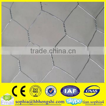 hot dipped galvanisation chicken net and chicken wire mesh