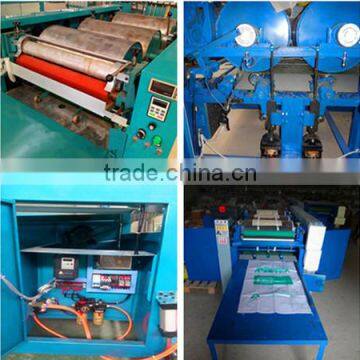Neweek 3 Colors Rice Bags Printing Woven Bag Printing Machine photo-3