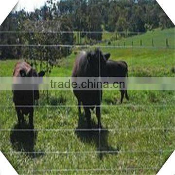 1.8m High Heavy Galvanized Sheep Fence / Galvanized Cattle Fence for Sale photo-5