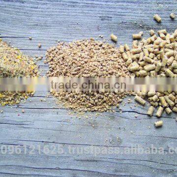 PROSTAR 1500 FEED PELLET MACHINE / ANIMAL FEED PELLET MACHINE / FISH FEED PELLET MACHINE