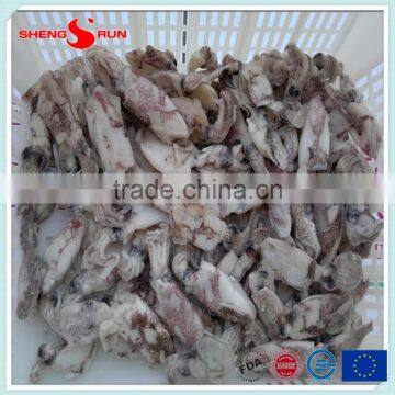 IQF Frozen Baby Loligo Squid photo-6