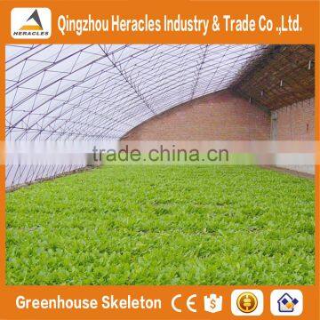 Heracles Low Cost Mini Plastic Sunlight Greenhouse photo-2