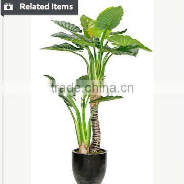 Artificial Decorative Banana Tree Ficus Tree Branch Live Bonsai Tree for Home and Office Decoration photo-3
