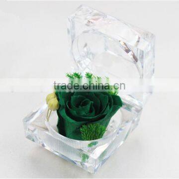 Beautiful Wholesales Preserved Fresh Rose Flowers Wedding Decorative Flower photo-4