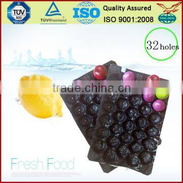 China Supply Factory Price PP ProtectiveTray for Apple Packing photo-5